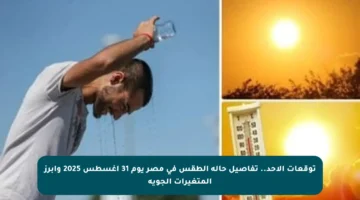 توقعات الأحد.. تفاصيل حالة الطقس في مصر يوم 31 أغسطس 2025 وأبرز المتغيرات الجوية